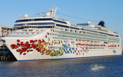 Norwegian Gem